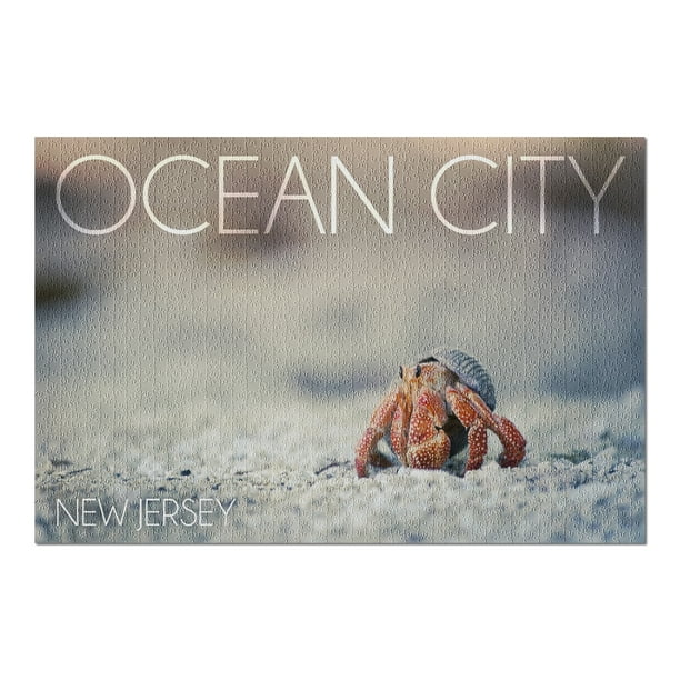 Ocean City, New Jersey Hermit Crab on Beach (20x30 Premium 1000 Piece