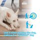 thumbnail image 4 of dispositivo antiladridos para entrenamiento de perros S/M/L y modos de disuasión: silbato ultrasónico recargable para perros para detener de forma segura a humanos y perros (negro) XianweiShao 9024715990570, 4 of 4
