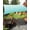 Green, variant on Geometric Turquoise Ombre Sun Sail Shades Rectangle Canopy,Sunlight Block Heavy Duty Curved Backyard Shade Cover,Modern Gradient White Ocean Striped Waterproof Sun Shades for Patios Garden 8'x10'