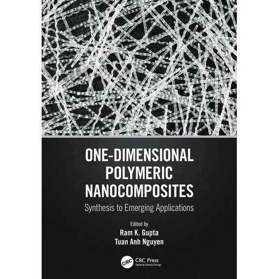 One-Dimensional Polymeric Nanocomposites: Synthesis to Emerging Applications, (Hardcover)