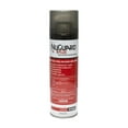 thumbnail image 2 of NyGuard Plus Flea Tick Premise Spray - 17 oz Can by MGK, 2 of 2