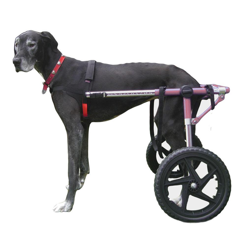 Walkin Wheels Dog Wheelchair For Large Dogs 70 180 Pounds Veterinarian Approved Dog Wheelchair For Back Legs Walmart Com Walmart Com