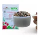 thumbnail image 3 of Fertilizante Triple 17 Palhogar 1kg, 3 of 3