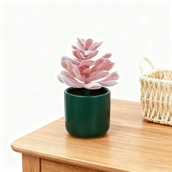 Succulente Réaliste pour des Aménagements Intérieurs Stylés