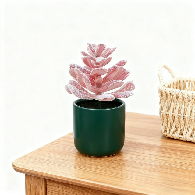 Lifelike Succulent For Home And Succulents In Modern Arrangements The Decorative Piece For Living Rooms And Interiors