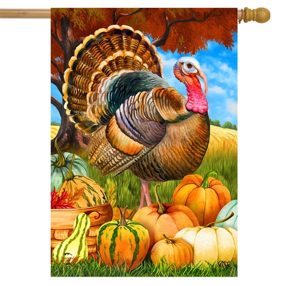 Briarwood Lane Turkey And Pumpkins Fall House Flag