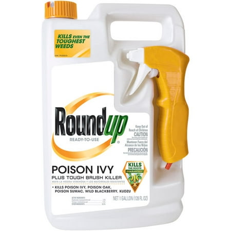 Roundup Poison Ivy Plus Tough Brush Killer Ready-To-Use, 1 (Best Way To Kill Poison Ivy On A Tree)
