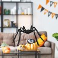 thumbnail image 5 of RXIRUCGD Halloween Spider Web Giant Spider Decor, Spider Halloween Party Decoration Haunted House Prop Indoor Outdoor Black Spider Halloween Spider, 5 of 5