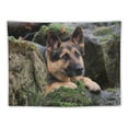 thumbnail image 5 of Orinice Dog Tapestry Wall Hanging Unique Style Graphic Tapestries for Home Wall Decor Living Room Bedroom Farmhouse 60x50inch, 5 of 6