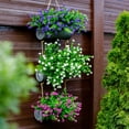 thumbnail image 4 of 12 Bundles Artificial Faux Flowers & Greenery Plants,Realistic UV-Resistant Plastic Shrubs Bushes for Indoor/Outdoor Decor - Home, Porch, Patio Garden (Fuchsia), 4 of 7