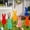 All Mixed, variant on Easter Decorations Outdoor Easter Bunny Yard Signs Bunny Garden Lawn Signs Plastic Outdoor Lawn Sign White Rabbits Yard Decoration with Stakes for Easter Party Supplies Photo Props Patio Walkway