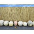 thumbnail image 4 of Backyard X-Scapes 6' H x 16' L Natural Reed Fence Panel, 4 of 10