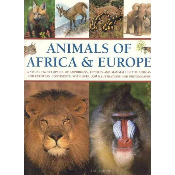 Animals of Africa and Europe : A Visual Encyclopedia of Amphibians, Reptiles and Mammals in the Asian and Australasian Continents, with over 350 Illustrations and Photographs (Paperback)