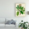 thumbnail image 3 of Trademark Fine Art 'Verdant Foliage VI' Canvas Art by Vision Studio, 3 of 4