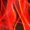Red, variant on Boys Quick Dry Swim Trunks with Compression Liner Solid Color Stretch Polyester Spandex Swim Shorts for Beach Pool Swimming Water Sports 180g