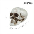 thumbnail image 4 of Halloween Skulls Plastic Head Skeleton Mini Heads Decor Prop Ornament Prank Human Hallween Bulk Model Decorations, 4 of 7