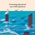 thumbnail image 4 of Over and Under the Waves, 4 of 4