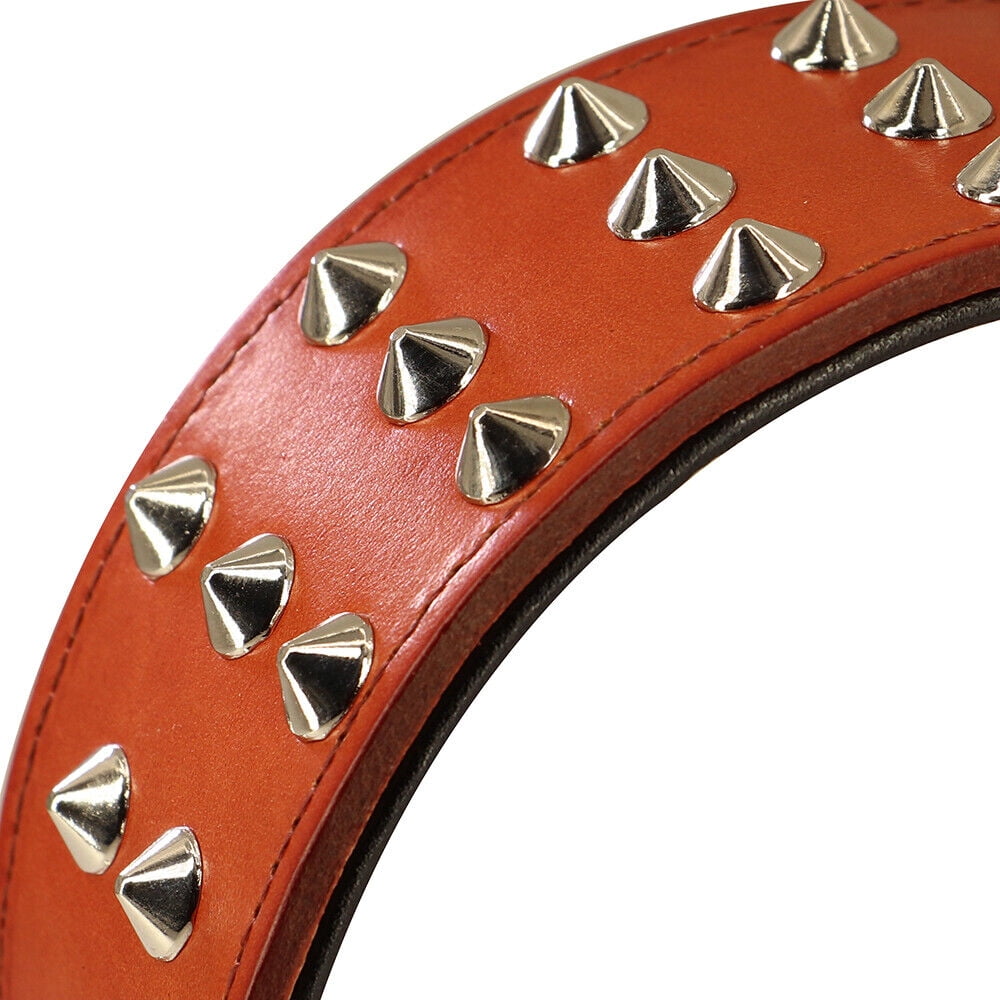 Didog 2" Wide Genuine Leather Studded Dog Collar for Medium Large Dogs, Heavy Duty Unique Rivet Pet Collars