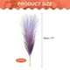 thumbnail image 2 of Uxcell Hierba Pampas Falsa, Decoración Boho para Decoración del Hogar, Tallos Artificiales Esponjosos para Arreglos de Flores en Jarrón para Bodas y Fiestas, Púrpura Oscuro, 2 of 6