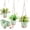 Green, variant on West Bay 3 Set Hanging Planters with Macrame Plant Hangers for Indoor Outdoor Plants Self Watering Pots Hanging Baskets Flower Pot Holders (Green)