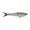 Rainbow Trout, variant on Berkley PowerBait® Nessie Fishing Bait, Hickory Shad, 7 in, Soft Swimbait