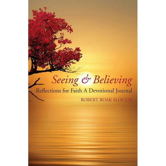 Seeing & Believing (Paperback)