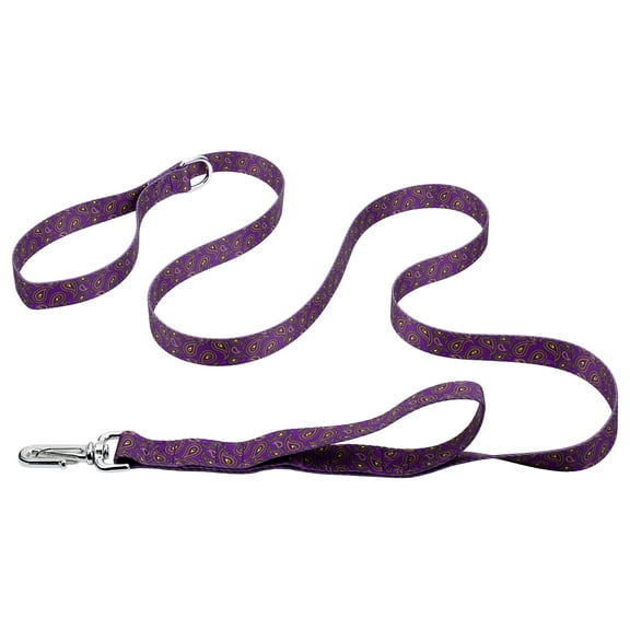 Country Brook Petz® 5/8 inch Purple Paisley Deluxe Reflective Dog Leash, 6 Foot
