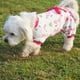 thumbnail image 4 of Pijamas animal doméstico,desgaste del perro,,ropa ,ropa para perros,ropa de noche,desgaste del animal doméstico,perro,mono de fuente del animal Zulema Pijamas animal doméstico, 4 of 8