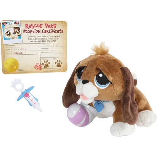 pets health
