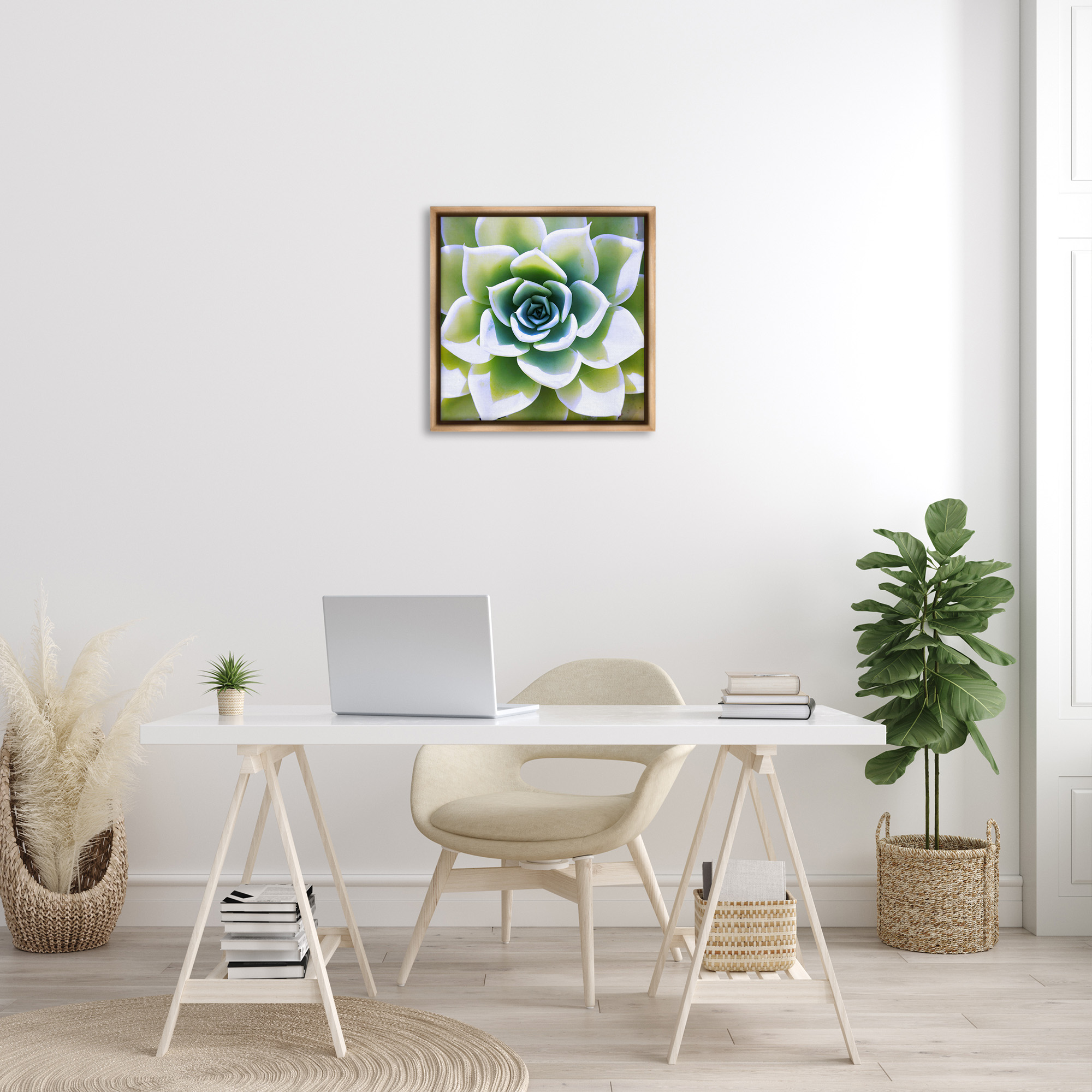Stupell Industries Green Succulent Nature Close Up Botanical & Floral Photography Brown Floater Framed Canvas Art Print Wall Art, 25 x 25