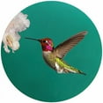 thumbnail image 1 of 8 in. Custom Annas Hummingbird Trivet  Round - 3 Pack, 1 of 1