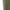 HEATHER MILITARY GREEN, variant on Yellowstone - Yellowstone Dutton Ranch - Juniors High Neck Tank Top