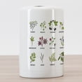 thumbnail image 3 of Herb Ceramic Toothbrush Holder, Natural Treatment Infographic Scheme with Healthy Plants and Names Herbalism Themed, Decorative Versatile Countertop for Bathroom, 4.5" X 2.7", Multicolor, 3 of 4