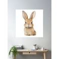 thumbnail image 2 of Bunny Rabbit Poster Wall Art, Modern Wall Decor For Living Room Bedroom, 24x24 UNFRAMED, 2 of 3