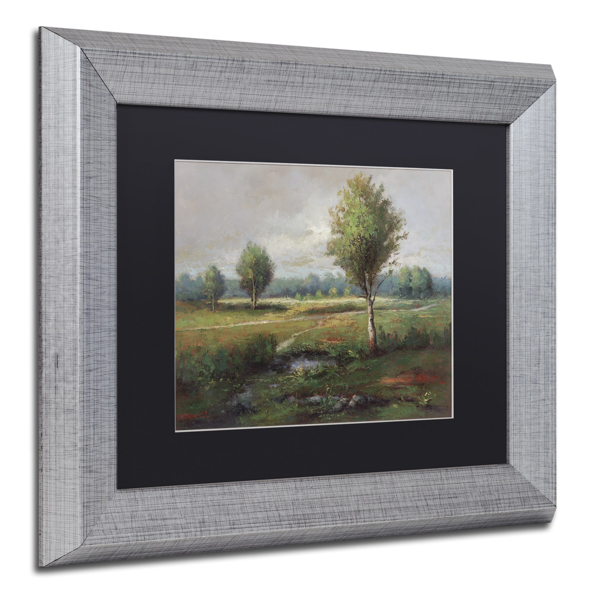 Trademark Fine Art "Lonely Tree" Canvas Art by Daniel Moises, Black Matte, Silver Frame