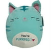 Squishmallows Official Kellytoys Plush 8 Inch Jules the Mint Green Cat "You're Purrfect" Valentine's Day Edition Ultimate Soft Animal Stuffed Toy