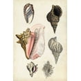 thumbnail image 2 of McCavitt, Naomi 17x24 Black Ornate Wood Framed with Double Matting Museum Art Print Titled - Seashore Field Notes III, 2 of 4