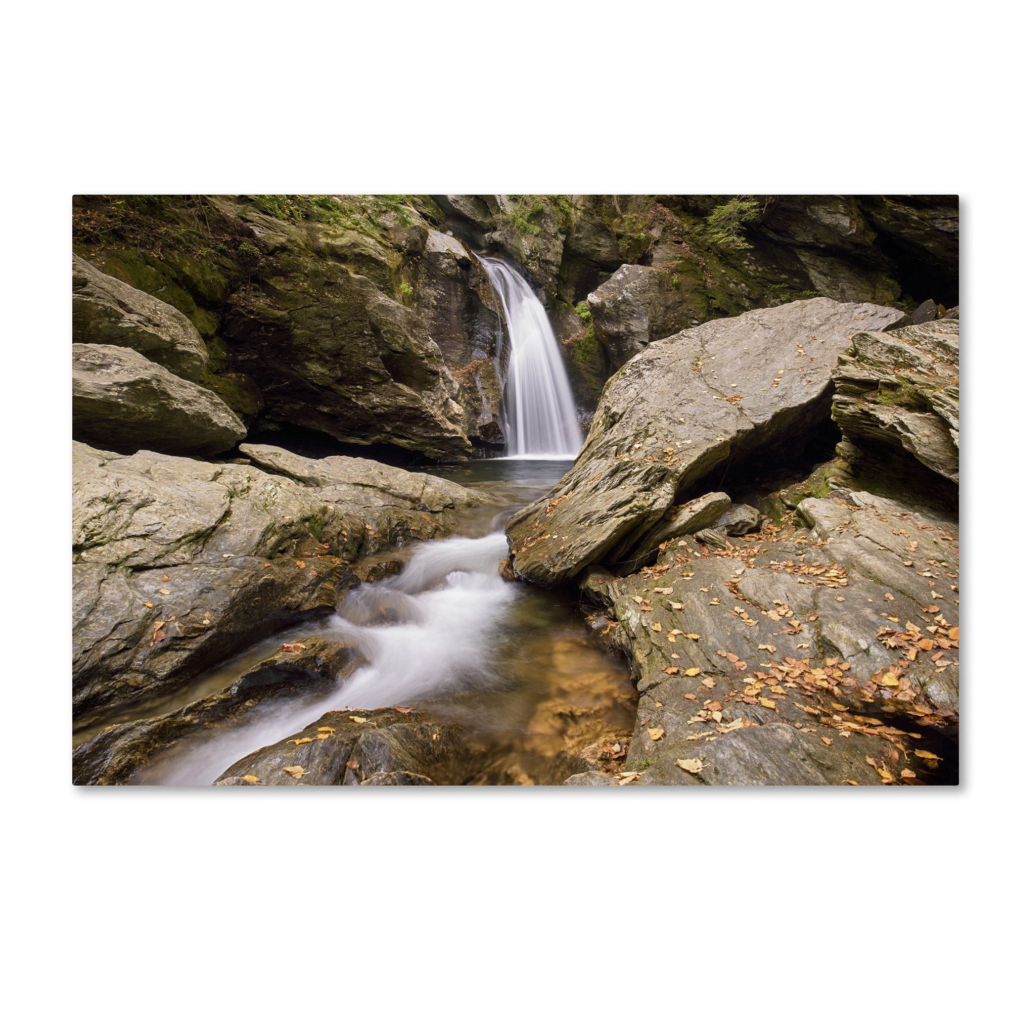 Trademark Fine Art 'Over and Under' Canvas Art by Michael Blanchette Photography