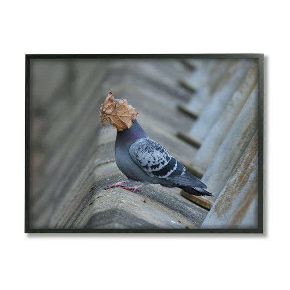 Stupell Industries Funny Leaf in Pigeon's Face Animals & Insects Photography Black Framed Art Print Wall Art, 14 x 11
