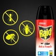 thumbnail image 2 of RAID® ANT & ROACH KILLER WATER BASED 17.5 OZ, 2 of 3