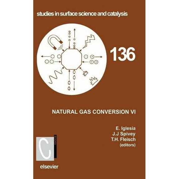 Studies in Surface Science and Catalysis Natural Gas Conversion VI: Volume 136, Book 136, (Hardcover)
