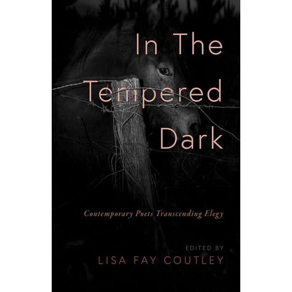 In the Tempered Dark, (Paperback)