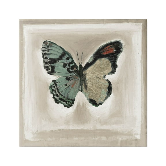 Stupell Industries Asymmetrical Butterfly Wings Painting Gallery Wrapped Canvas Print Wall Art, Design by Stacy D'Aguiar