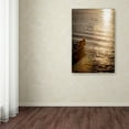 thumbnail image 3 of Trademark Fine Art "On The Edge" Canvas Art by Yale Gurney, 3 of 3