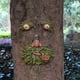 thumbnail image 5 of Xihbxyly Venta y Oferta Comedero para Pájaros, Árbol Luminoso, Colgante de Cara, Jardín Al Aire Libre, Patio, Manualidades, Cara de Árbol, Decoraciones Colgantes, 5 of 7