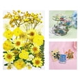 thumbnail image 3 of KLKCMS Fleurs Séchées Réelles pour Résine, Fleurs Séchées Naturelles Pressées, Fleurs en Résine en Vrac pour Bricolage, Moules en Résine, Kit de Fabrication de Bougies Jaune, 3 of 9