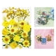 thumbnail image 3 of Surtido de flores secas prensadas a granel, artesanías, bricolaje, resina epoxi, joyería, decoración Amarillo, 3 of 9