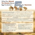thumbnail image 3 of Farm Innovators 40W Digital Circulated Air Incubator for Up to 48 Eggs, 3 of 9