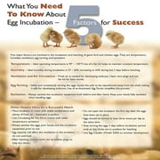 Farm Innovators 40W Digital Circulated Air Incubator for Up to 48 Eggs
