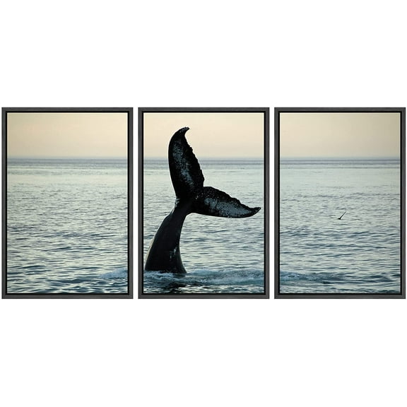 wall26 - 3 Piece Framed Canvas Wall Art - Fin of a Humpback Whale - Modern Home Art Stretched and Framed Ready to Hang - 24"x36"x3 BLACK